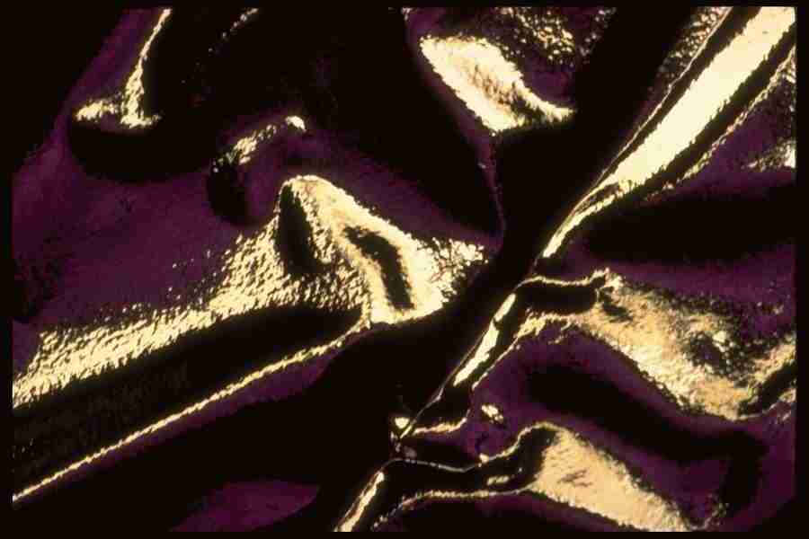 Reflective Effects - Corel Professional Photos ></a>
<script language=JavaScript> 
  var txt = 