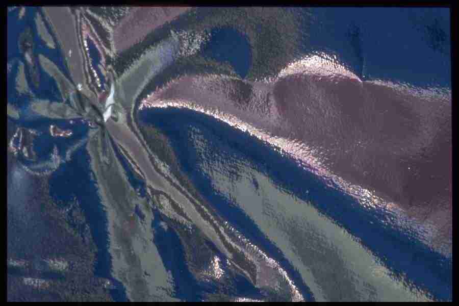 Reflective Effects - Corel Professional Photos ></a>
<script language=JavaScript> 
  var txt = 