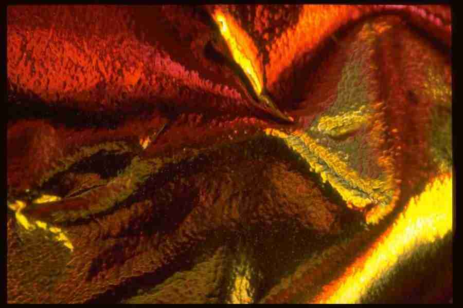 Reflective Effects - Corel Professional Photos ></a>
<script language=JavaScript> 
  var txt = 