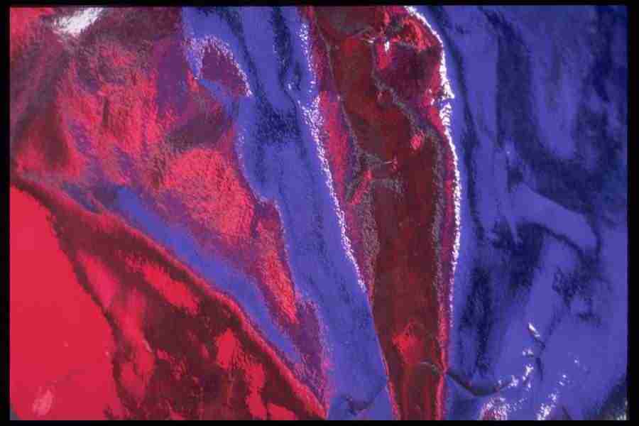 Reflective Effects - Corel Professional Photos ></a>
<script language=JavaScript> 
  var txt = 