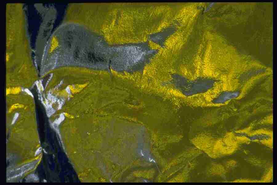 Reflective Effects - Corel Professional Photos ></a>
<script language=JavaScript> 
  var txt = 