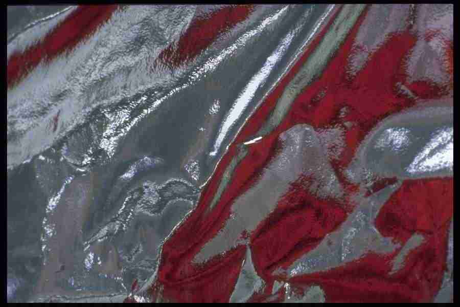 Reflective Effects - Corel Professional Photos ></a>
<script language=JavaScript> 
  var txt = 