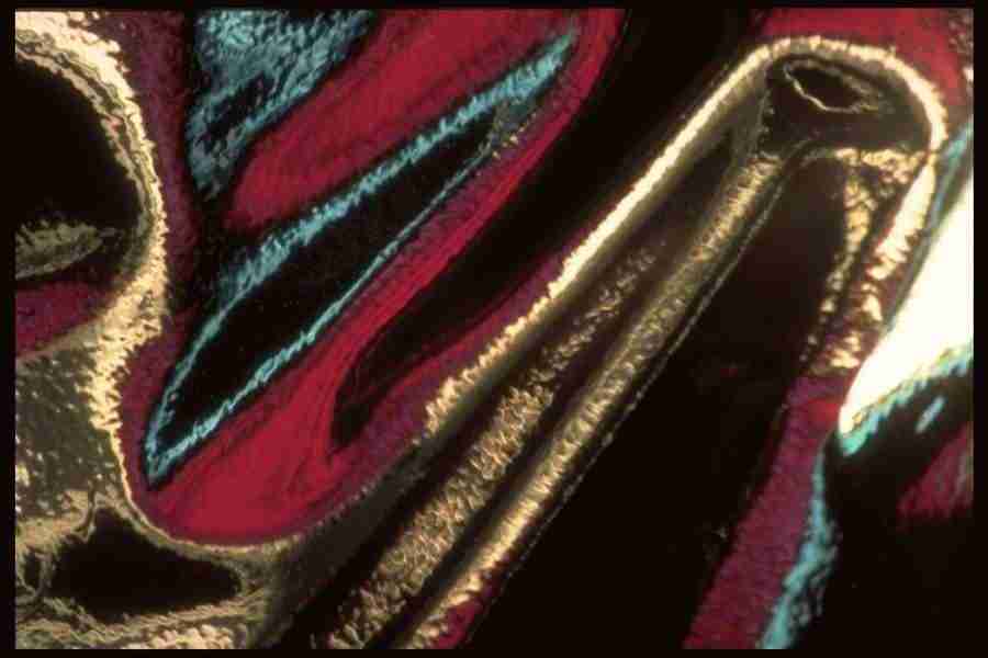 Reflective Effects - Corel Professional Photos ></a>
<script language=JavaScript> 
  var txt = 