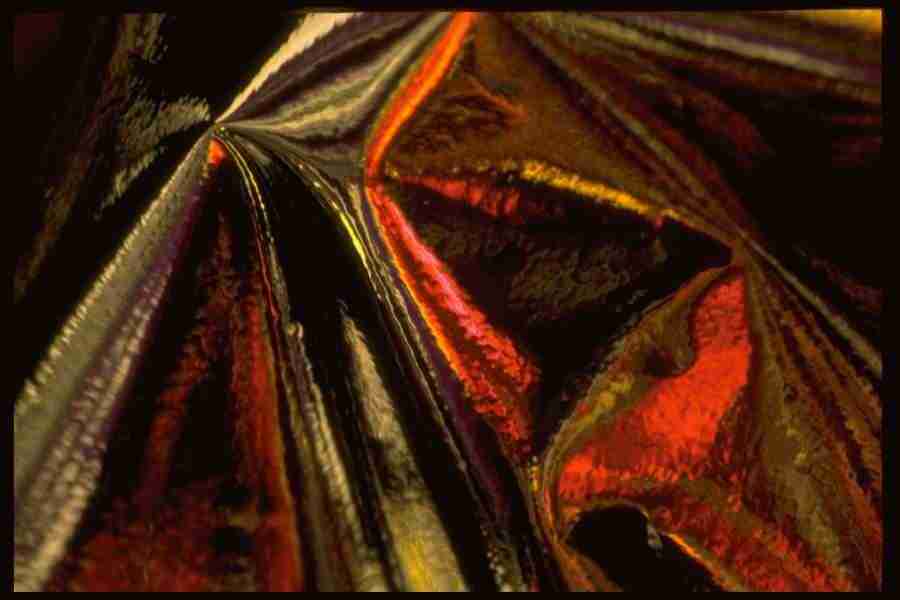 Reflective Effects - Corel Professional Photos ></a>
<script language=JavaScript> 
  var txt = 