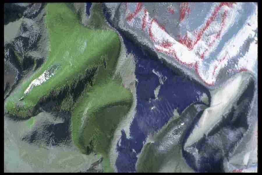 Reflective Effects - Corel Professional Photos ></a>
<script language=JavaScript> 
  var txt = 