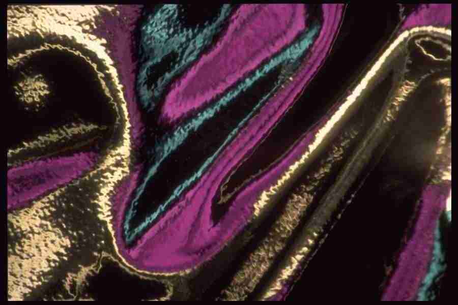 Reflective Effects - Corel Professional Photos ></a>
<script language=JavaScript> 
  var txt = 