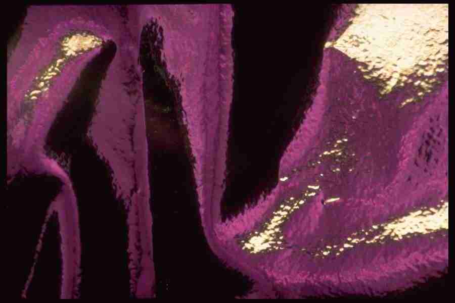 Reflective Effects - Corel Professional Photos ></a>
<script language=JavaScript> 
  var txt = 