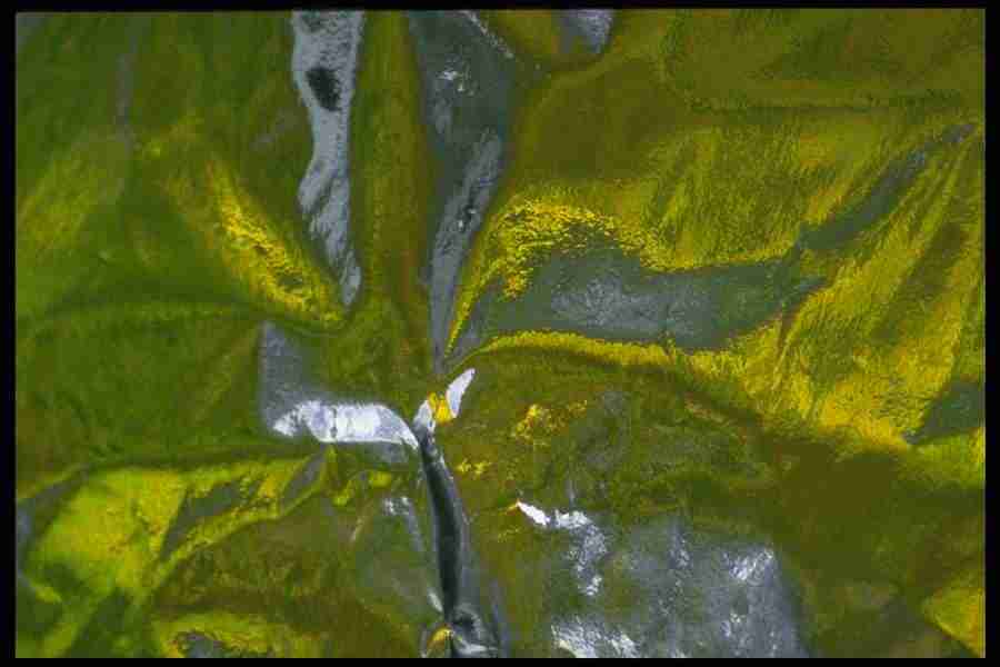 Reflective Effects - Corel Professional Photos ></a>
<script language=JavaScript> 
  var txt = 