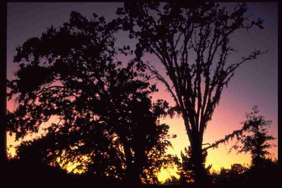 Sunsets Around The World - Corel Professional Photos ></a>
<script language=JavaScript> 
  var txt = 