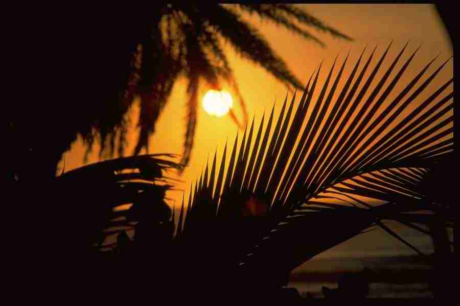 Sunsets Around The World - Corel Professional Photos ></a>
<script language=JavaScript> 
  var txt = 