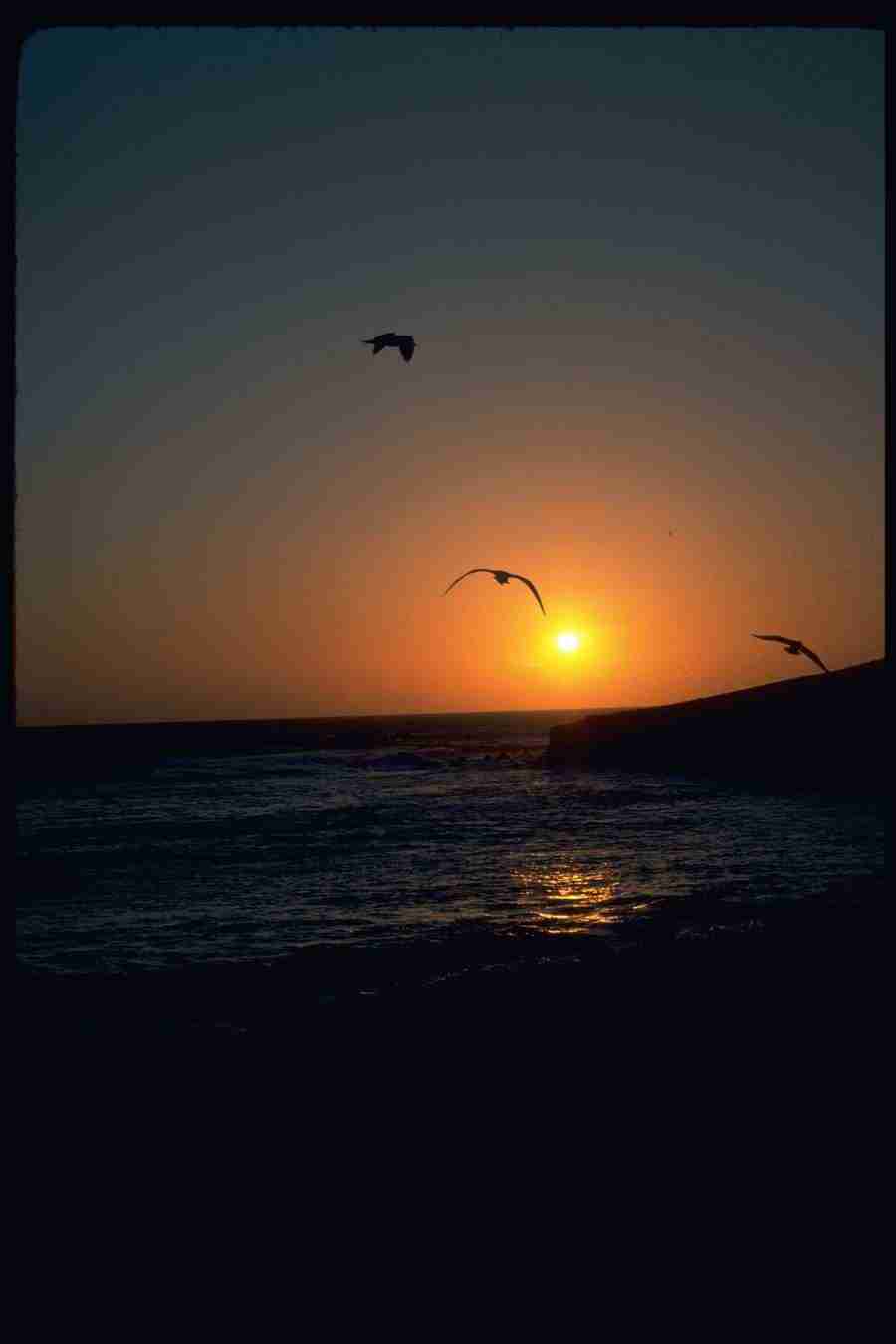 Sunsets Around The World - Corel Professional Photos ></a>
<script language=JavaScript> 
  var txt = 