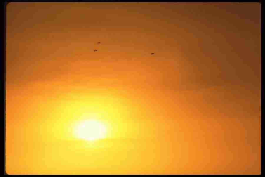 Skies - Corel Professional Photos ></a>
<script language=JavaScript> 
  var txt = 