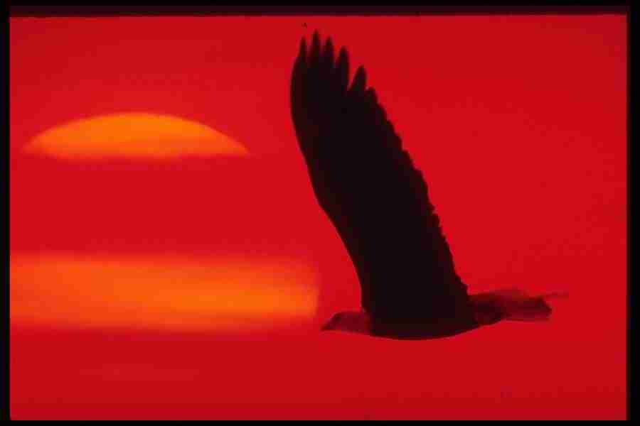 Skies - Corel Professional Photos ></a>
<script language=JavaScript> 
  var txt = 