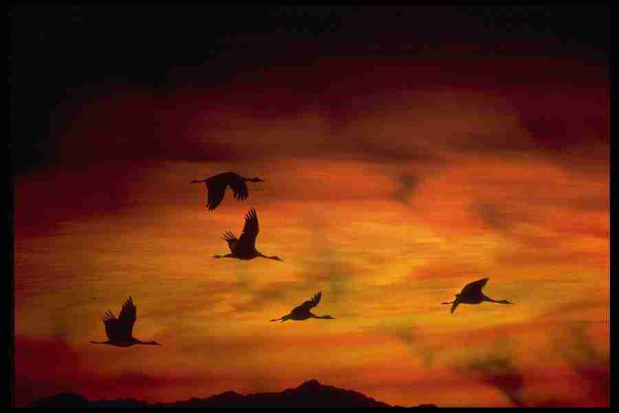 Skies - Corel Professional Photos ></a>
<script language=JavaScript> 
  var txt = 