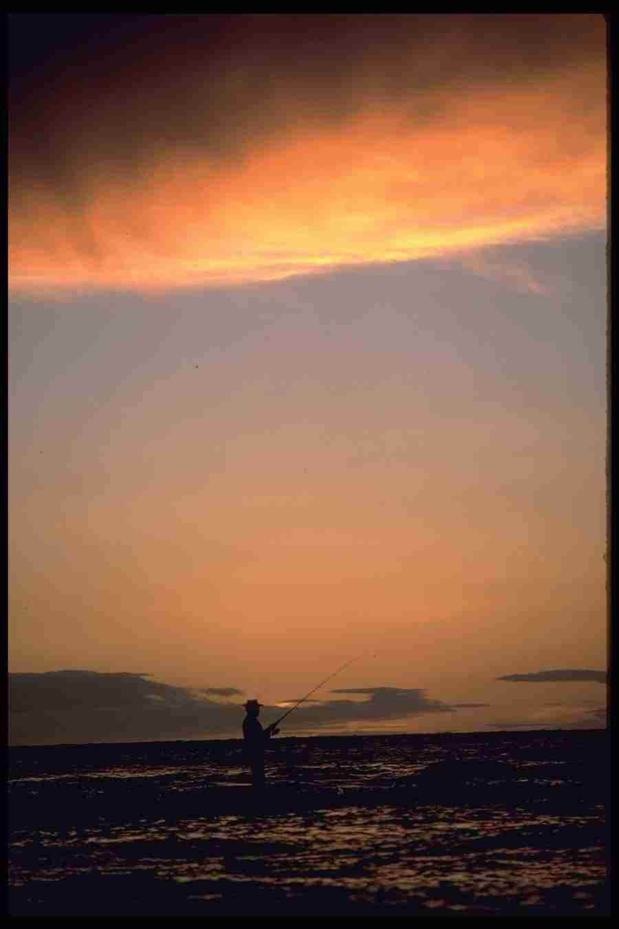 Skies - Corel Professional Photos ></a>
<script language=JavaScript> 
  var txt = 