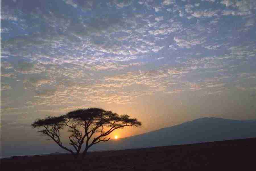 Skies - Corel Professional Photos ></a>
<script language=JavaScript> 
  var txt = 