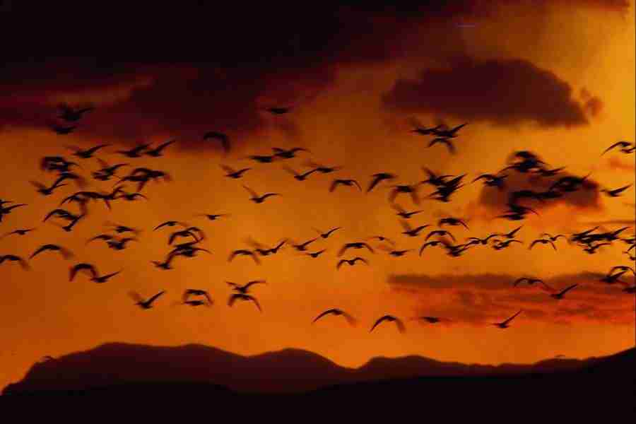 Skies - Corel Professional Photos ></a>
<script language=JavaScript> 
  var txt = 