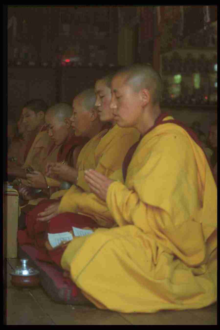 Spirit Of Buddha - Corel Professional Photos ></a>
<script language=JavaScript> 
  var txt = 