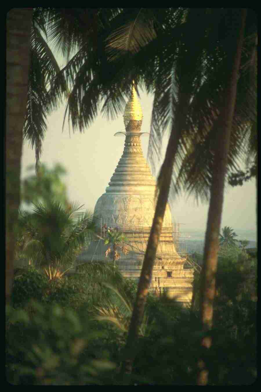 Spirit Of Buddha - Corel Professional Photos ></a>
<script language=JavaScript> 
  var txt = 