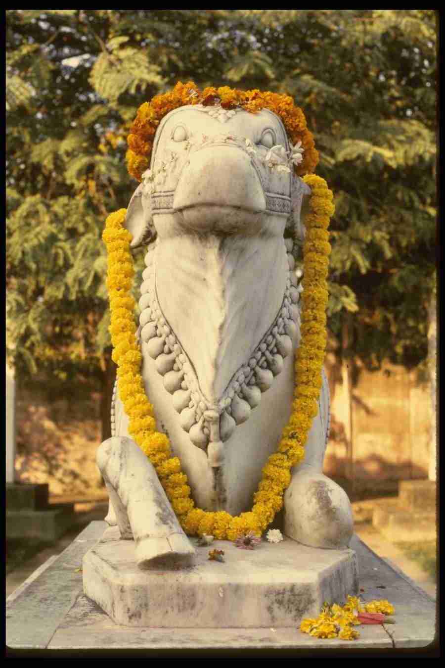 Sacred Places - Corel Professional Photos ></a>
<script language=JavaScript> 
  var txt = 