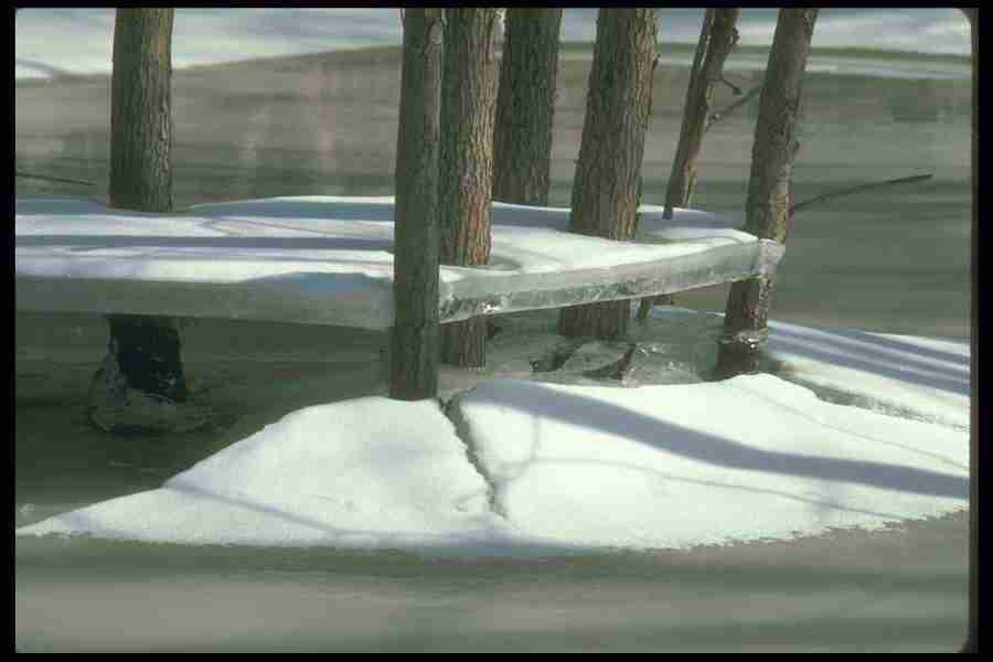 Spring - Corel Professional Photos ></a>
<script language=JavaScript> 
  var txt = 