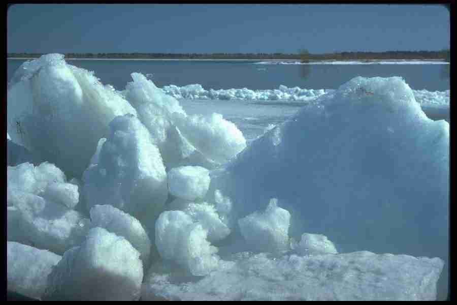 Spring - Corel Professional Photos ></a>
<script language=JavaScript> 
  var txt = 