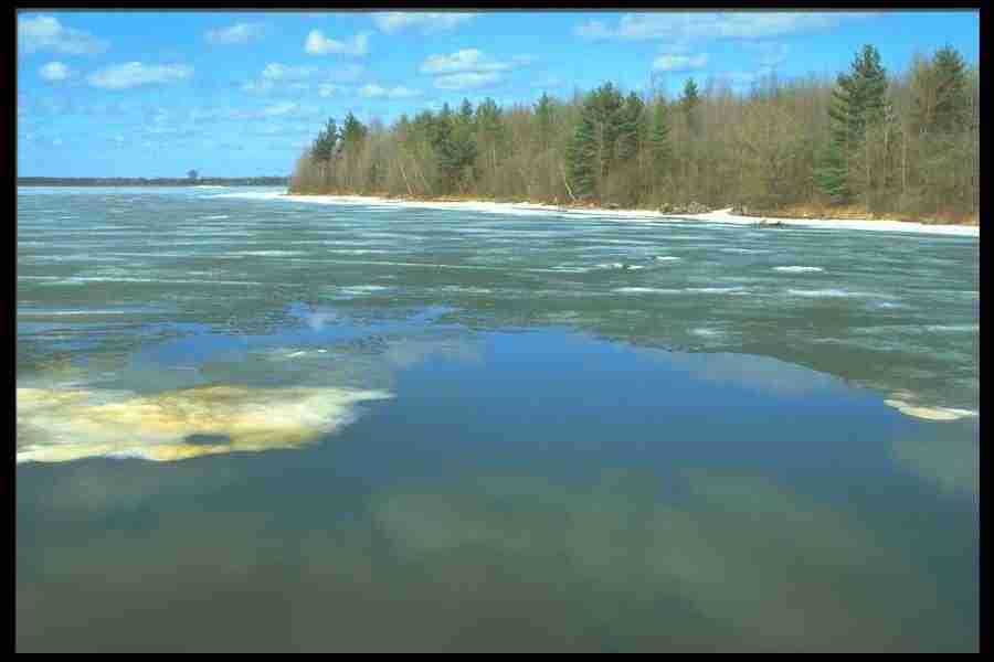 Spring - Corel Professional Photos ></a>
<script language=JavaScript> 
  var txt = 