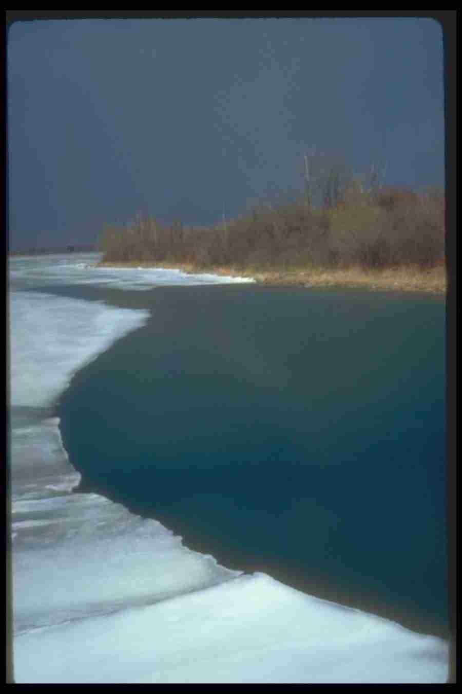 Spring - Corel Professional Photos ></a>
<script language=JavaScript> 
  var txt = 