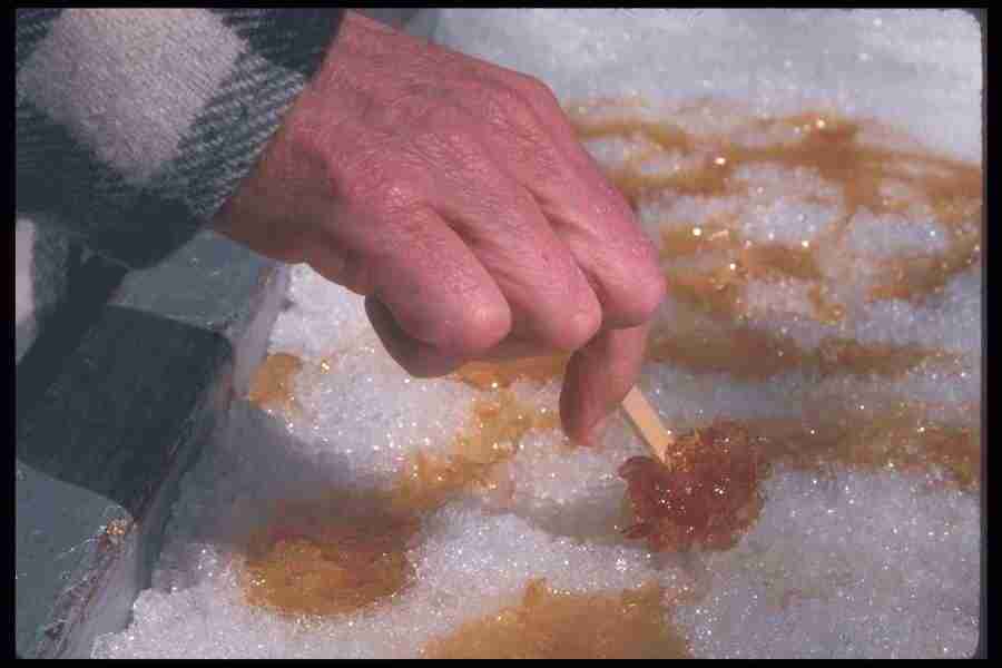 Spring - Corel Professional Photos ></a>
<script language=JavaScript> 
  var txt = 