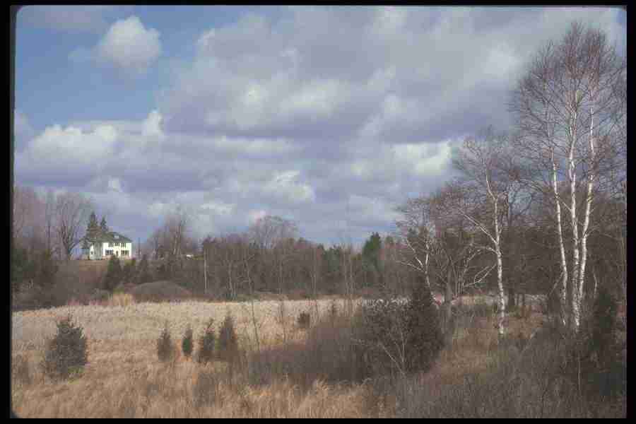 Spring - Corel Professional Photos ></a>
<script language=JavaScript> 
  var txt = 