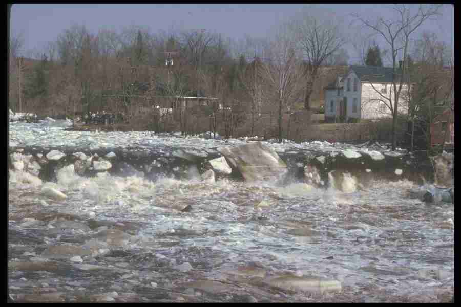 Spring - Corel Professional Photos ></a>
<script language=JavaScript> 
  var txt = 