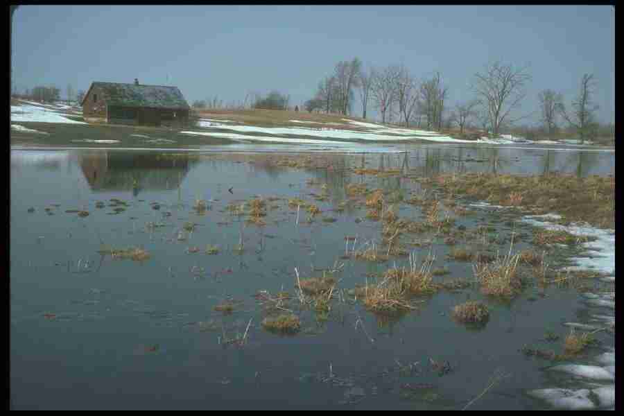 Spring - Corel Professional Photos ></a>
<script language=JavaScript> 
  var txt = 