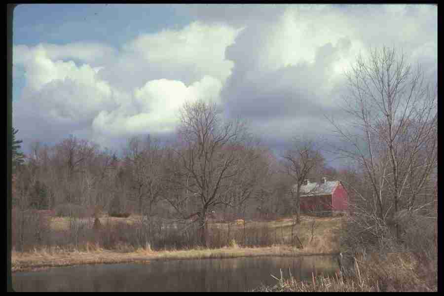 Spring - Corel Professional Photos ></a>
<script language=JavaScript> 
  var txt = 