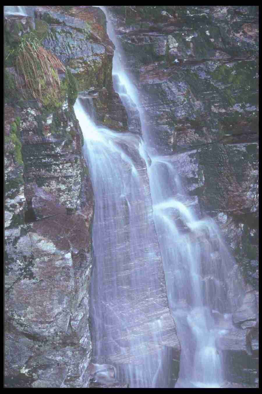 Spring - Corel Professional Photos ></a>
<script language=JavaScript> 
  var txt = 