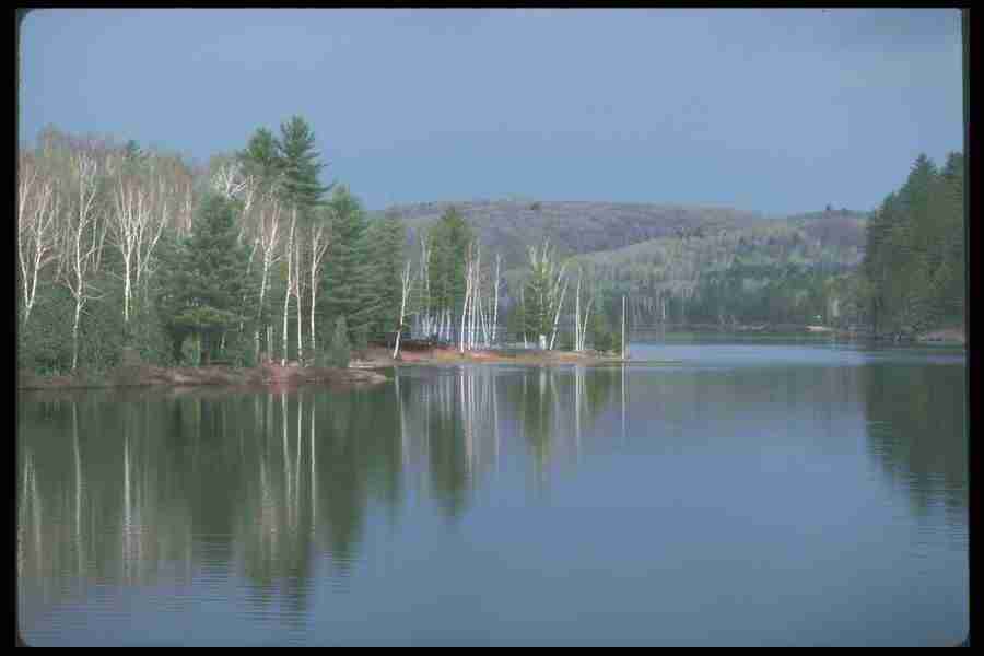 Spring - Corel Professional Photos ></a>
<script language=JavaScript> 
  var txt = 