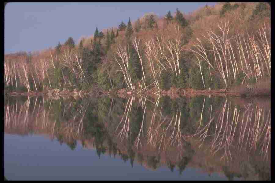 Spring - Corel Professional Photos ></a>
<script language=JavaScript> 
  var txt = 