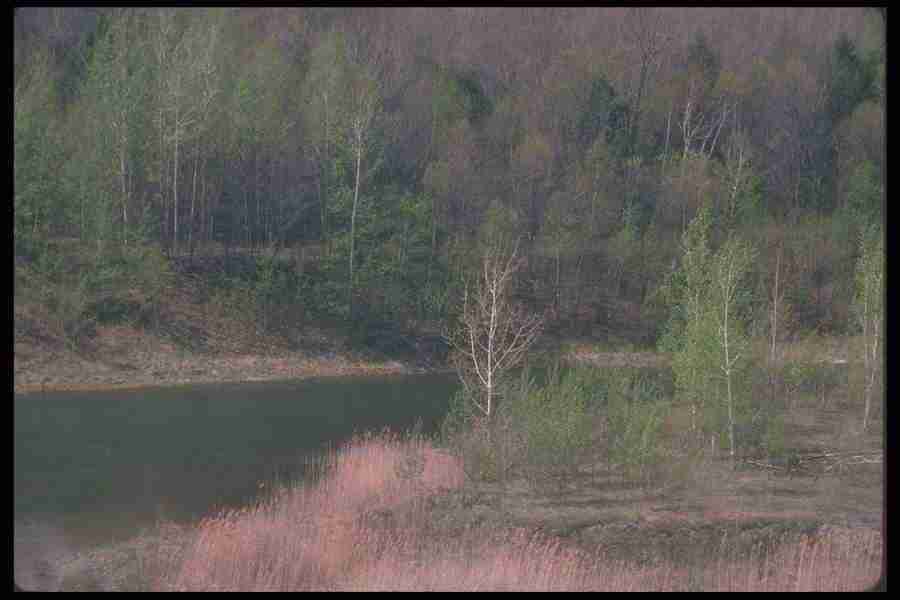 Spring - Corel Professional Photos ></a>
<script language=JavaScript> 
  var txt = 