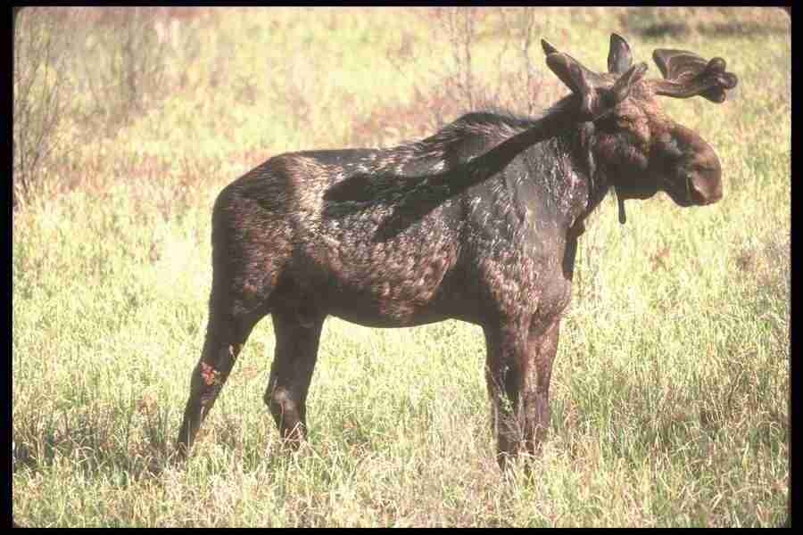 Spring - Corel Professional Photos ></a>
<script language=JavaScript> 
  var txt = 