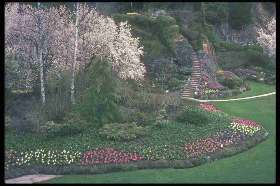 Spring - Corel Professional Photos ></a>
<script language=JavaScript> 
  var txt = 