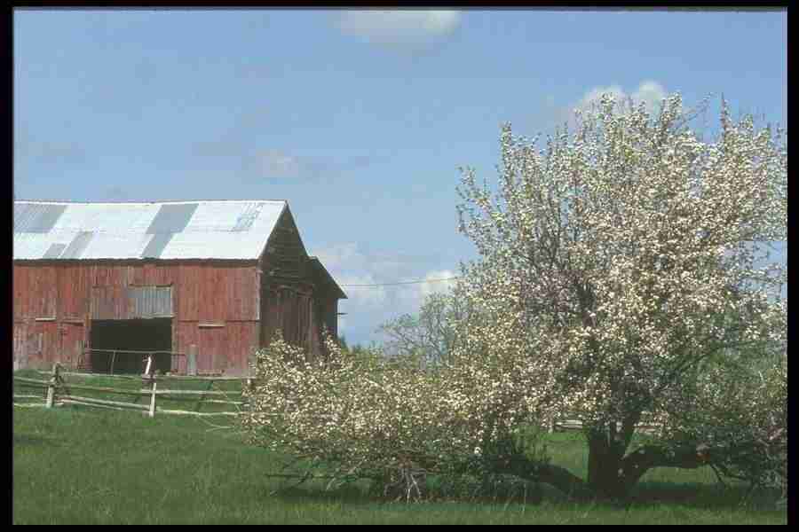 Spring - Corel Professional Photos ></a>
<script language=JavaScript> 
  var txt = 