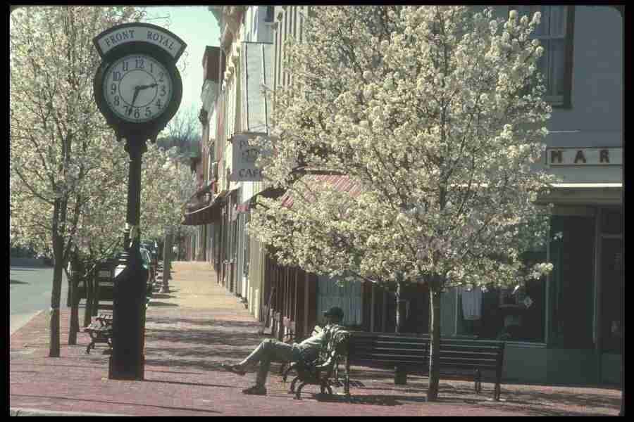 Spring - Corel Professional Photos ></a>
<script language=JavaScript> 
  var txt = 