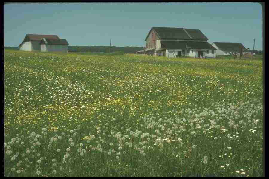 Spring - Corel Professional Photos ></a>
<script language=JavaScript> 
  var txt = 