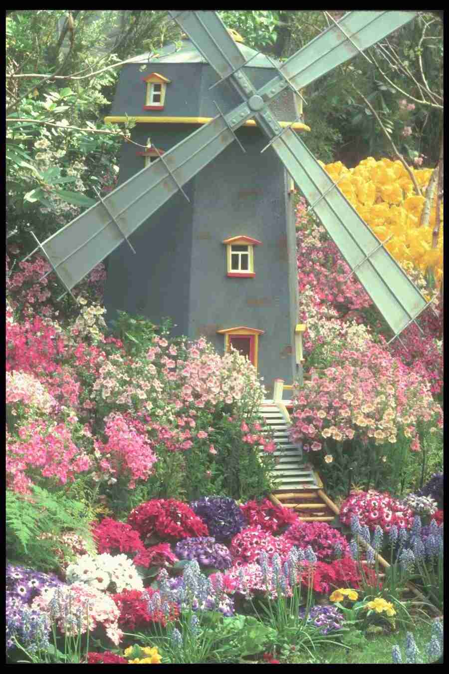 Spring - Corel Professional Photos ></a>
<script language=JavaScript> 
  var txt = 