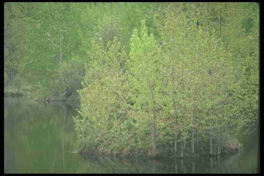 Spring - Corel Professional Photos ></a>
<script language=JavaScript> 
  var txt = 