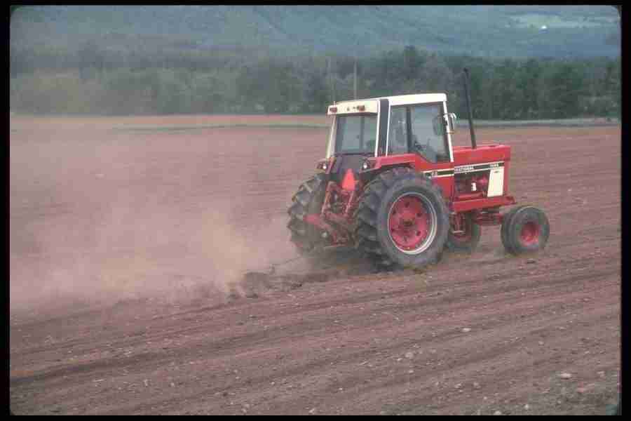 Spring - Corel Professional Photos ></a>
<script language=JavaScript> 
  var txt = 