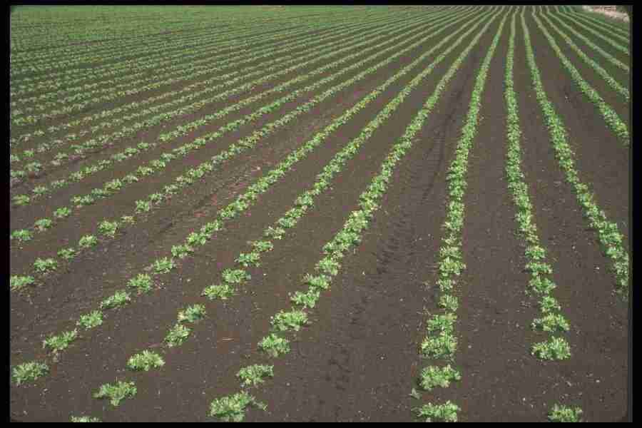 Spring - Corel Professional Photos ></a>
<script language=JavaScript> 
  var txt = 