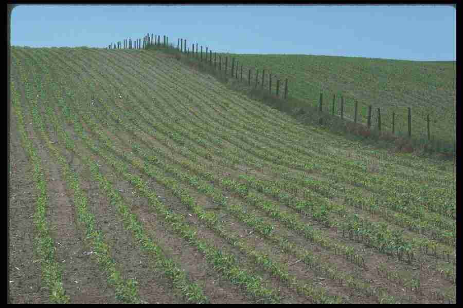 Spring - Corel Professional Photos ></a>
<script language=JavaScript> 
  var txt = 