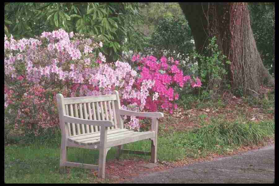 Spring - Corel Professional Photos ></a>
<script language=JavaScript> 
  var txt = 