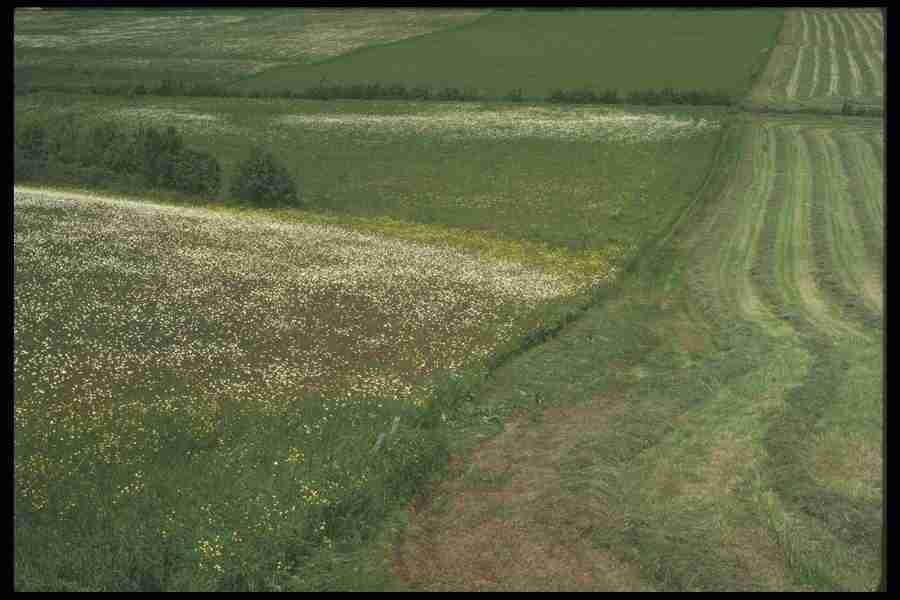 Spring - Corel Professional Photos ></a>
<script language=JavaScript> 
  var txt = 