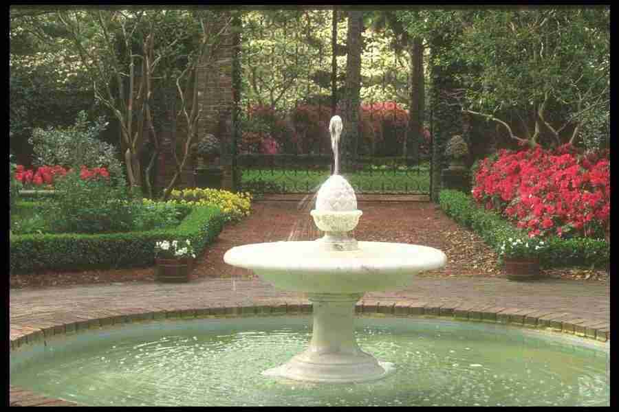 Spring - Corel Professional Photos ></a>
<script language=JavaScript> 
  var txt = 